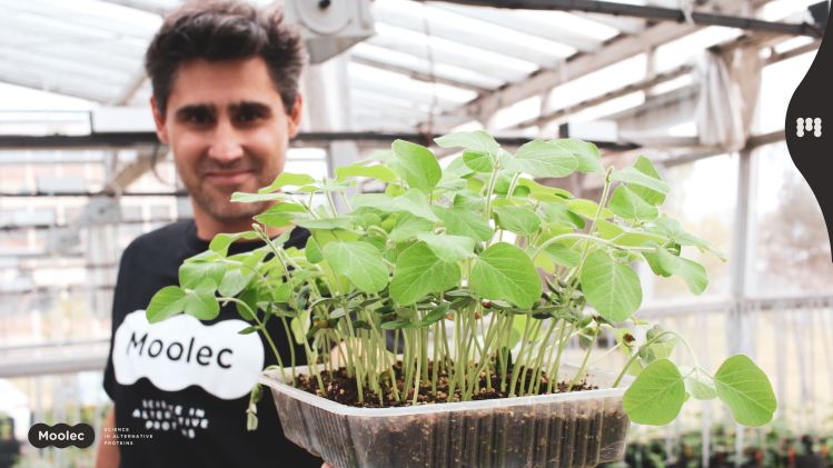 Moolec Science raises $30m to expand molecular farming operation